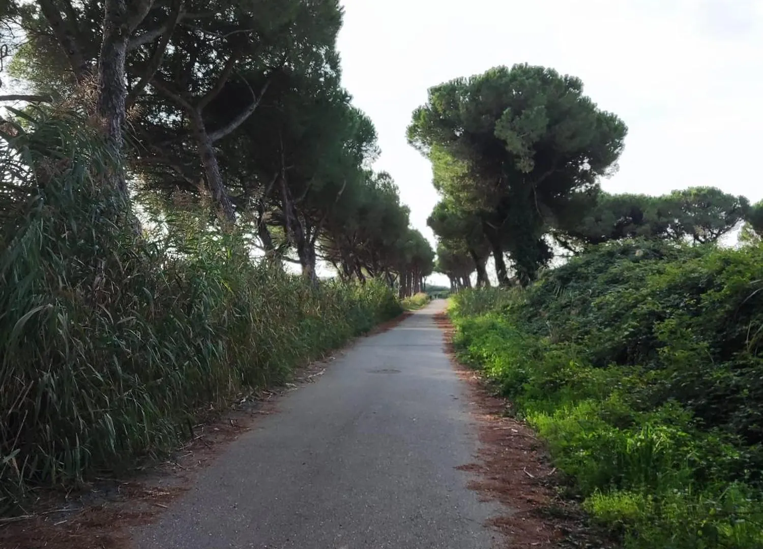 Luci Mare Apartment Marinella di Sarzana